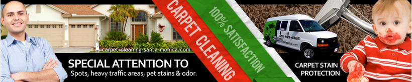 carpet cleaning services